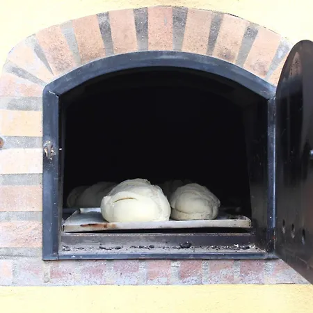 Landsted Nacientes: Cordero Los Sauces