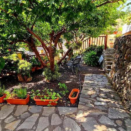 Nacientes: Cordero Landsted